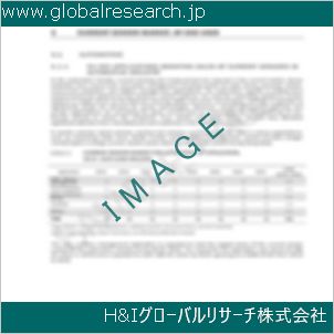 グローバルリサーチ調査資料のイメージ